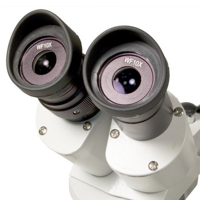 Микроскоп Levenhuk 3ST