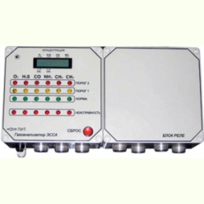 Стационарные многокомпонентные газоанализаторы ЭССА ИСПОЛНЕНИЕ БС/(И)/Н/(Р)