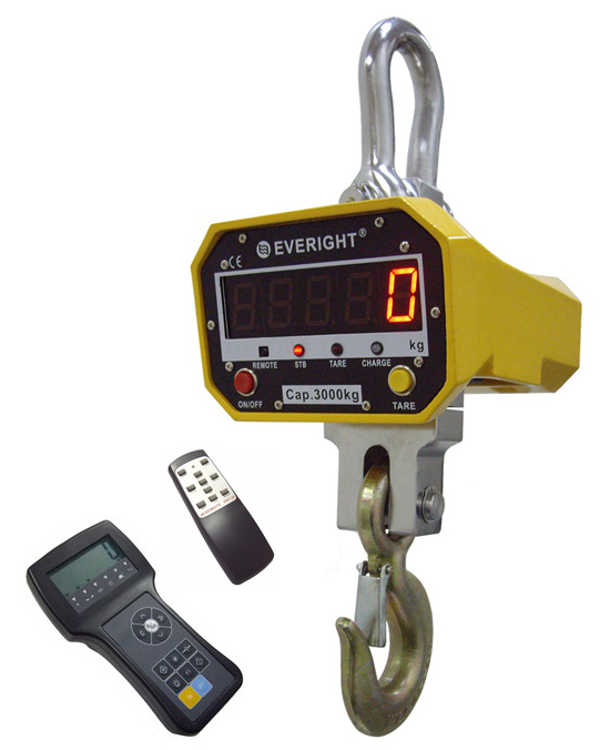 Крановые весы Everight OCS-SL2 с ПДУ280