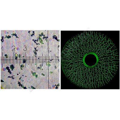 Концентрат Super Magna LY 2500