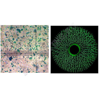 Магнитный порошок Super Magna CGY 4000