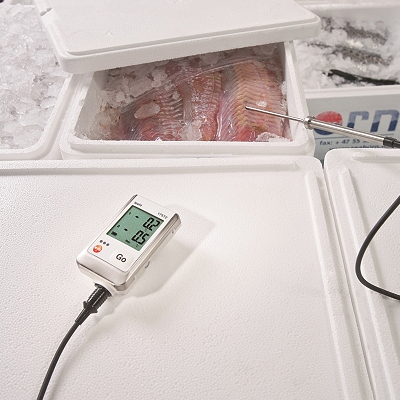 Регистратор данных температуры testo 175-T2