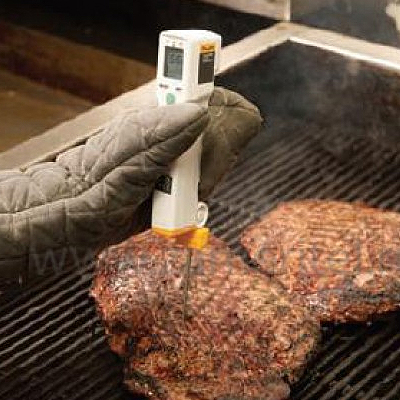 Термометр Fluke FP Plus для пищевых продуктов